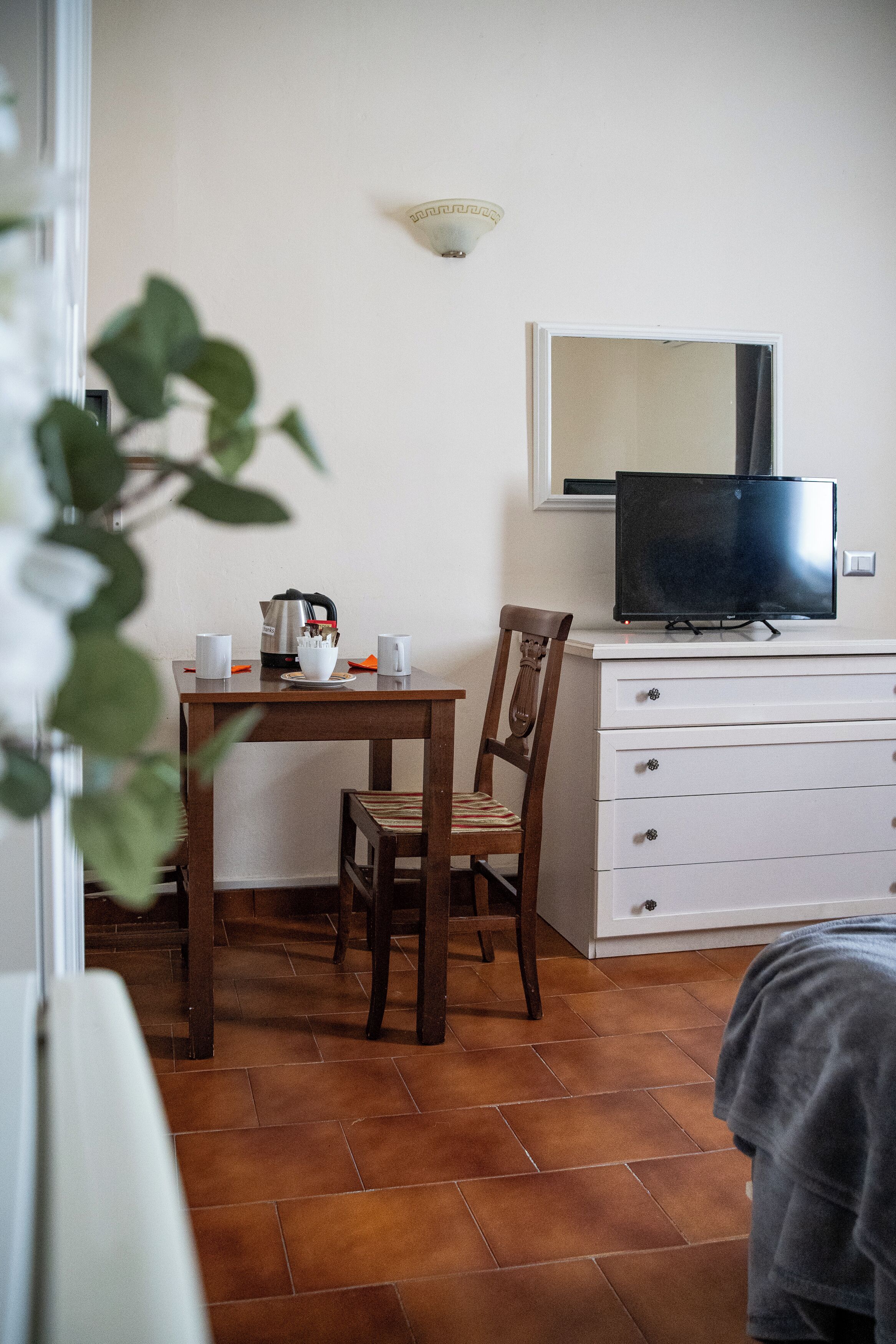 A room with a wooden table, a chair, a television on a white cabinet, and a plant in the foreground.