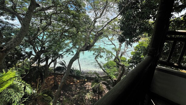 A view of a coastal area with dense foliage and a wooden fence. - Oceanic Villa (Grand-Baie)