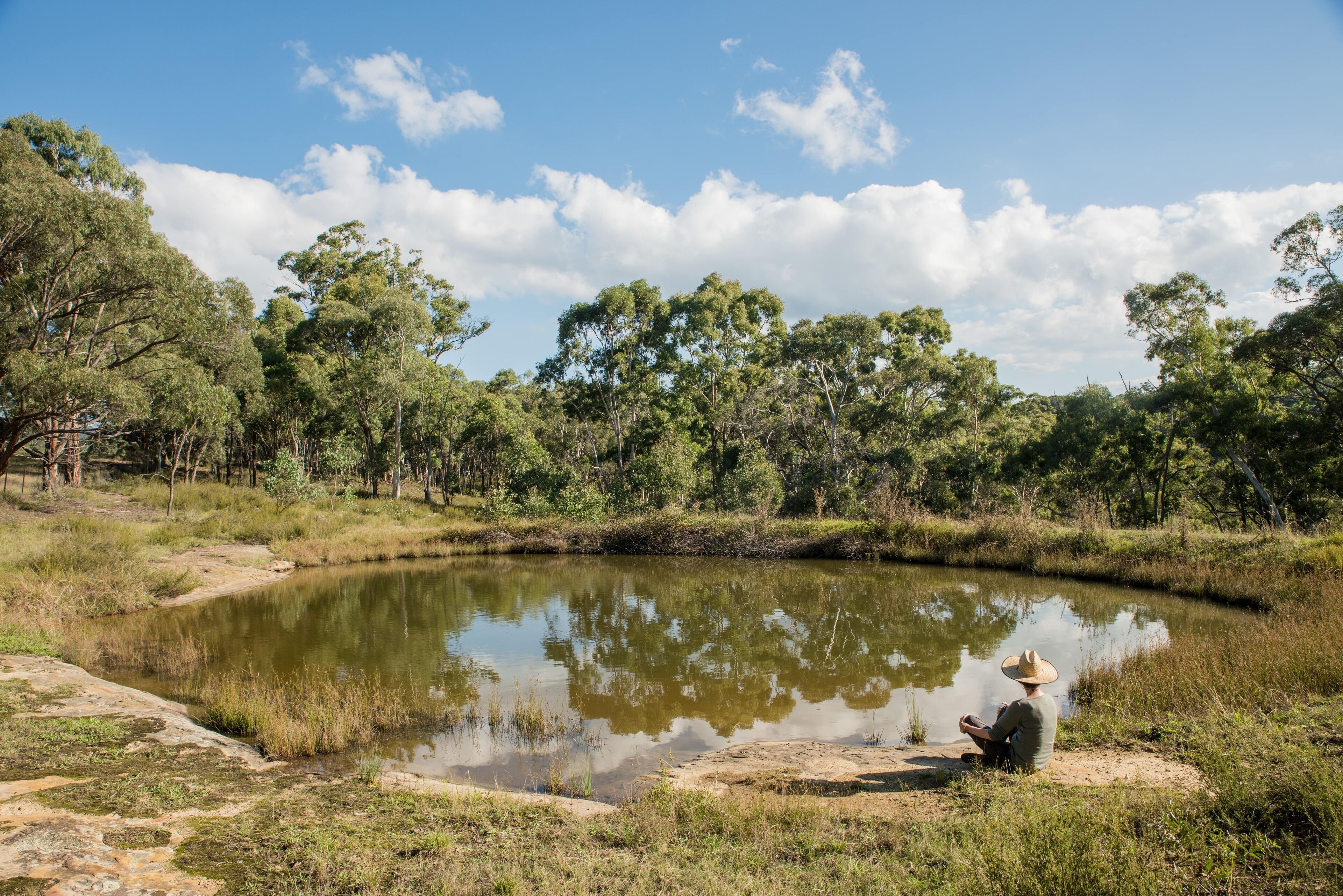 A person sitting by a calm pond surrounded by trees.