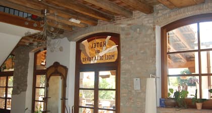 Hotel Molí de la Torre