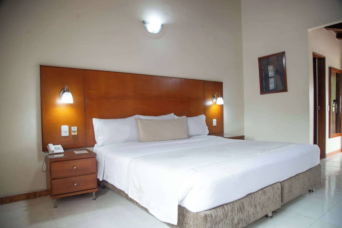 Premium Room, 1 King Bed, Non Smoking, Pool View