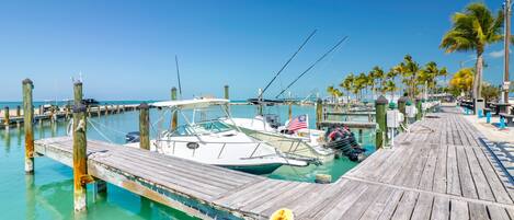 A wooden pier with boats docked, a clear blue sky, and palm trees in the background.