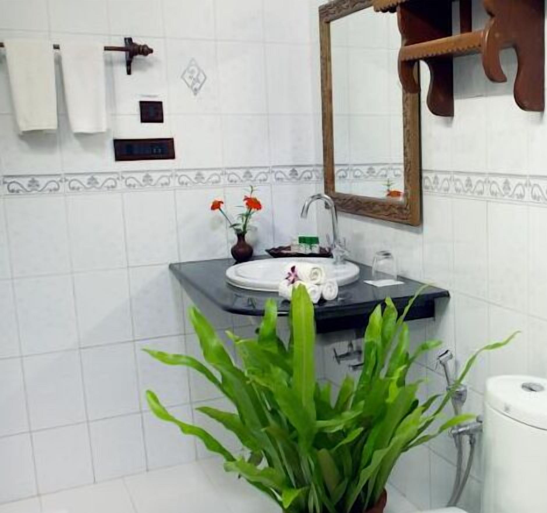 A bathroom with a sink, mirror, and toilet. There is a plant in the foreground.