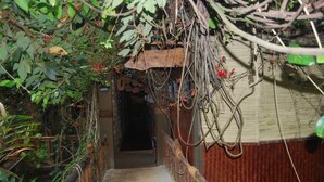 Un couloir étroit, envahi de végétation, mène à une porte en bois sur laquelle est apposée une pancarte indiquant « Nouvel espace ».
