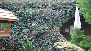 鳥瞰角度