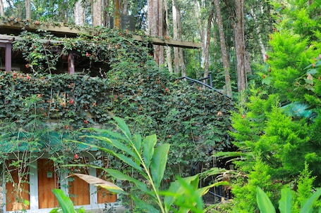Jardines del alojamiento. Green Spaces Munnar