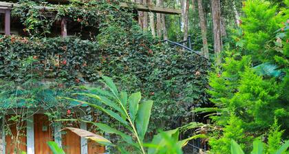 Green Spaces Munnar