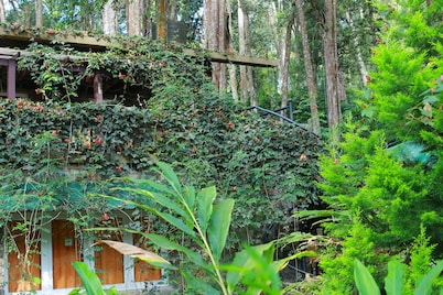 Green Spaces Munnar