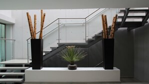A modern indoor space with a staircase, a potted plant, and two tall vases with sticks. - Hotel Río 1300 (Cuernavaca)