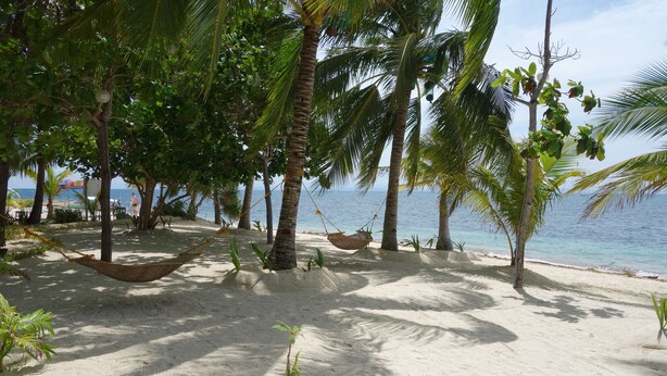 Une plage bordée de palmiers, un hamac et une vue sur l’océan.