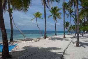 A beach with palm trees, a clear sky, and a calm sea.