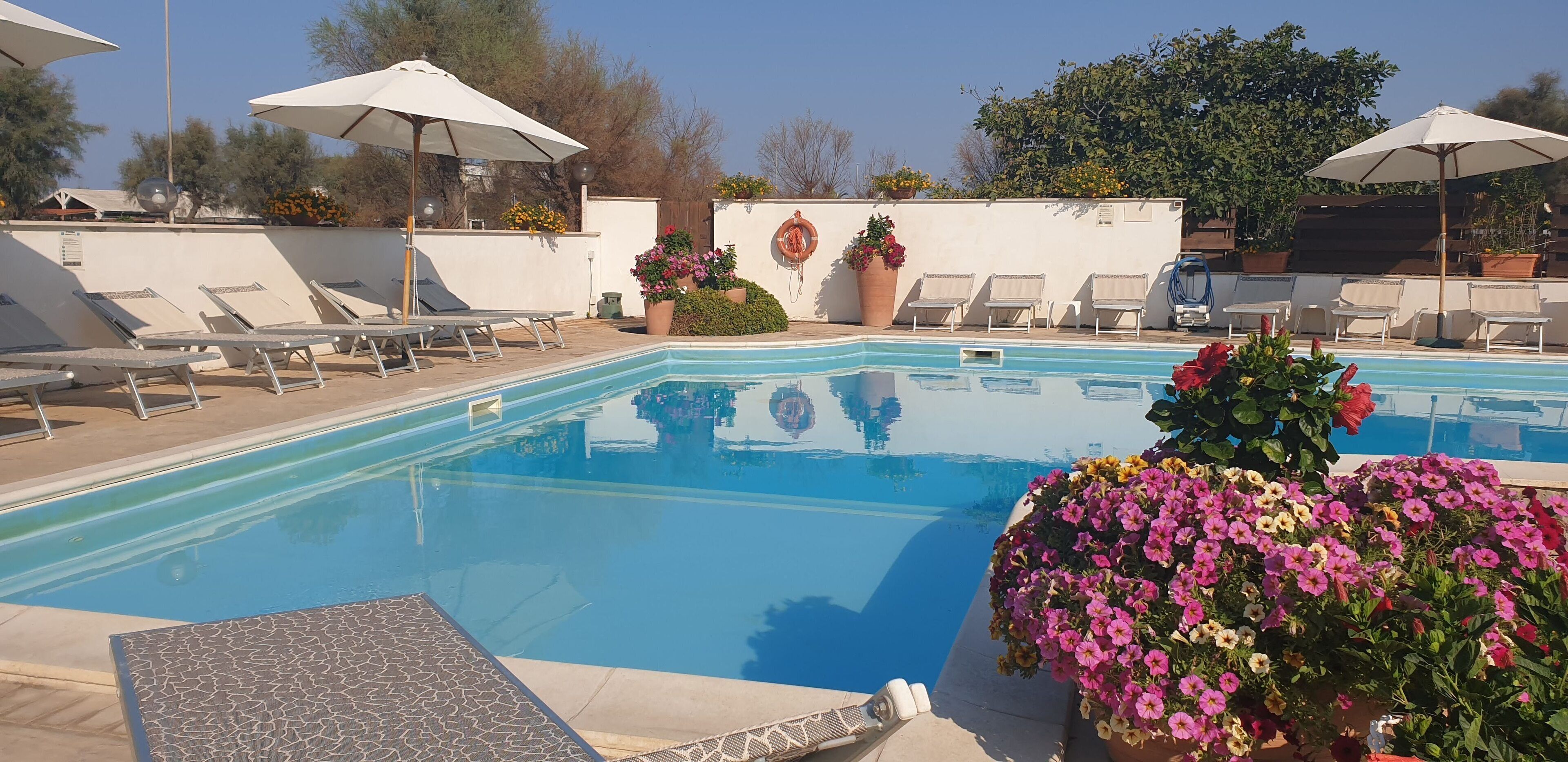 Seasonal outdoor pool, open 9:00 AM to 8:00 PM, pool umbrellas
