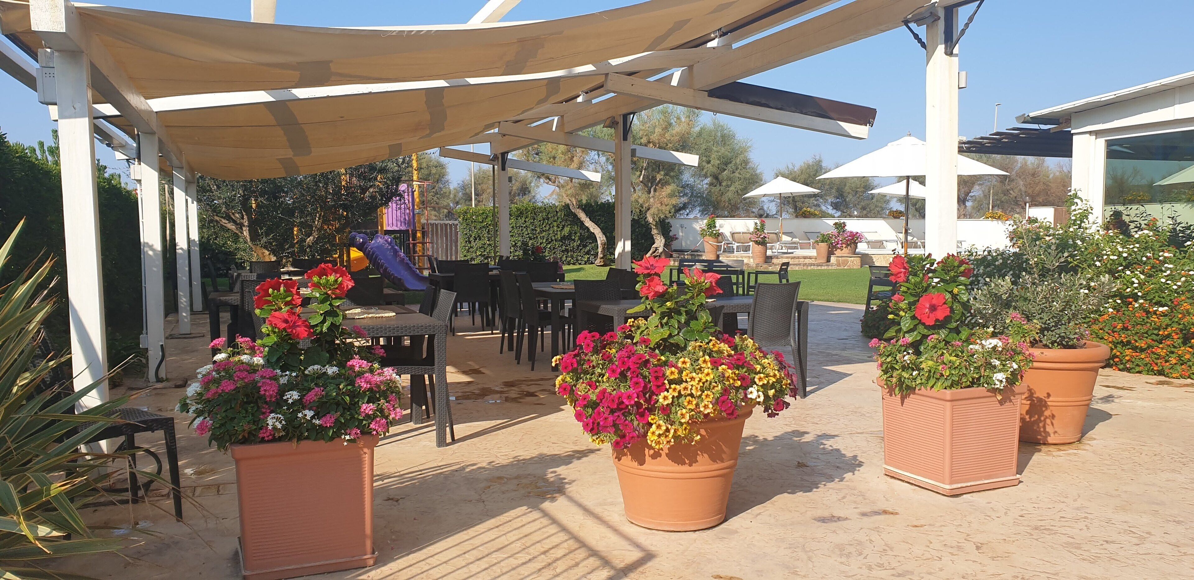 An outdoor patio area with tables and chairs, surrounded by potted plants and umbrellas.