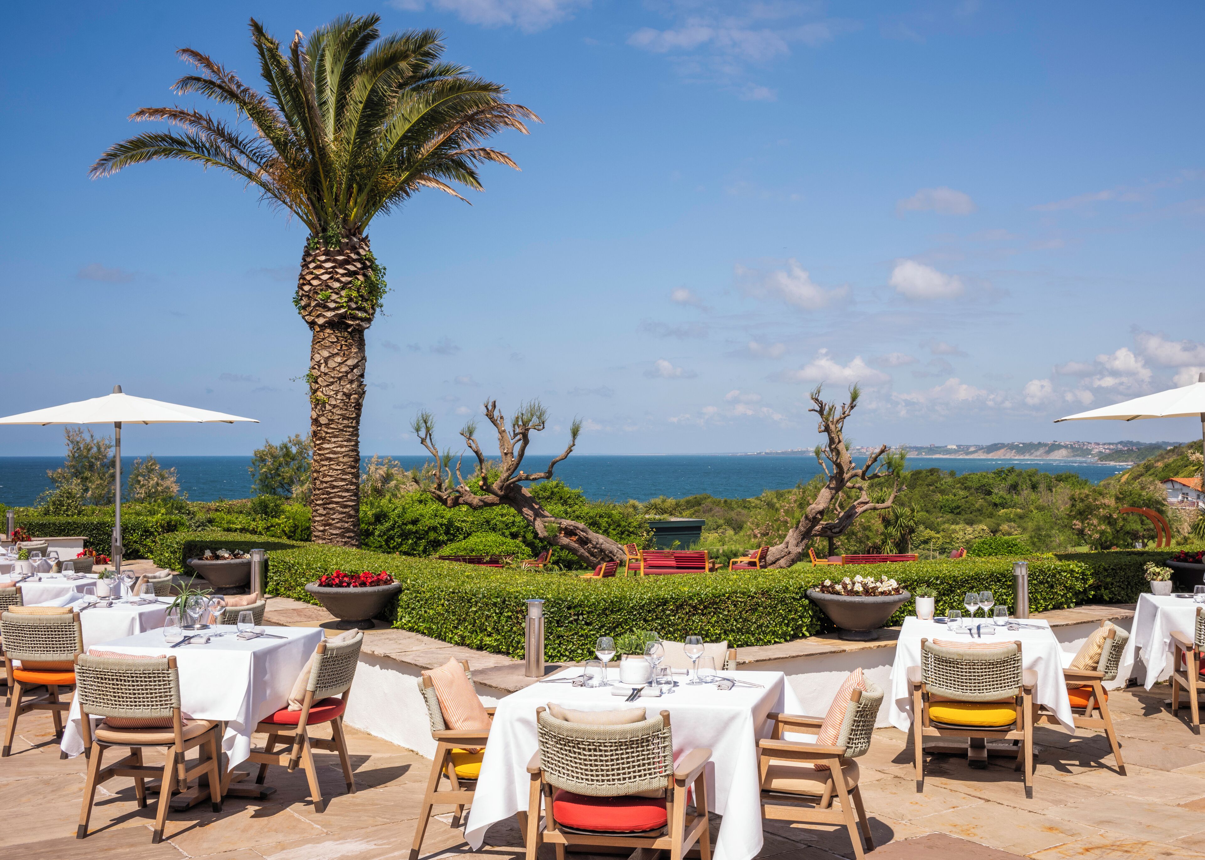 An outdoor dining area with tables and chairs, a palm tree, and a view of the sea.