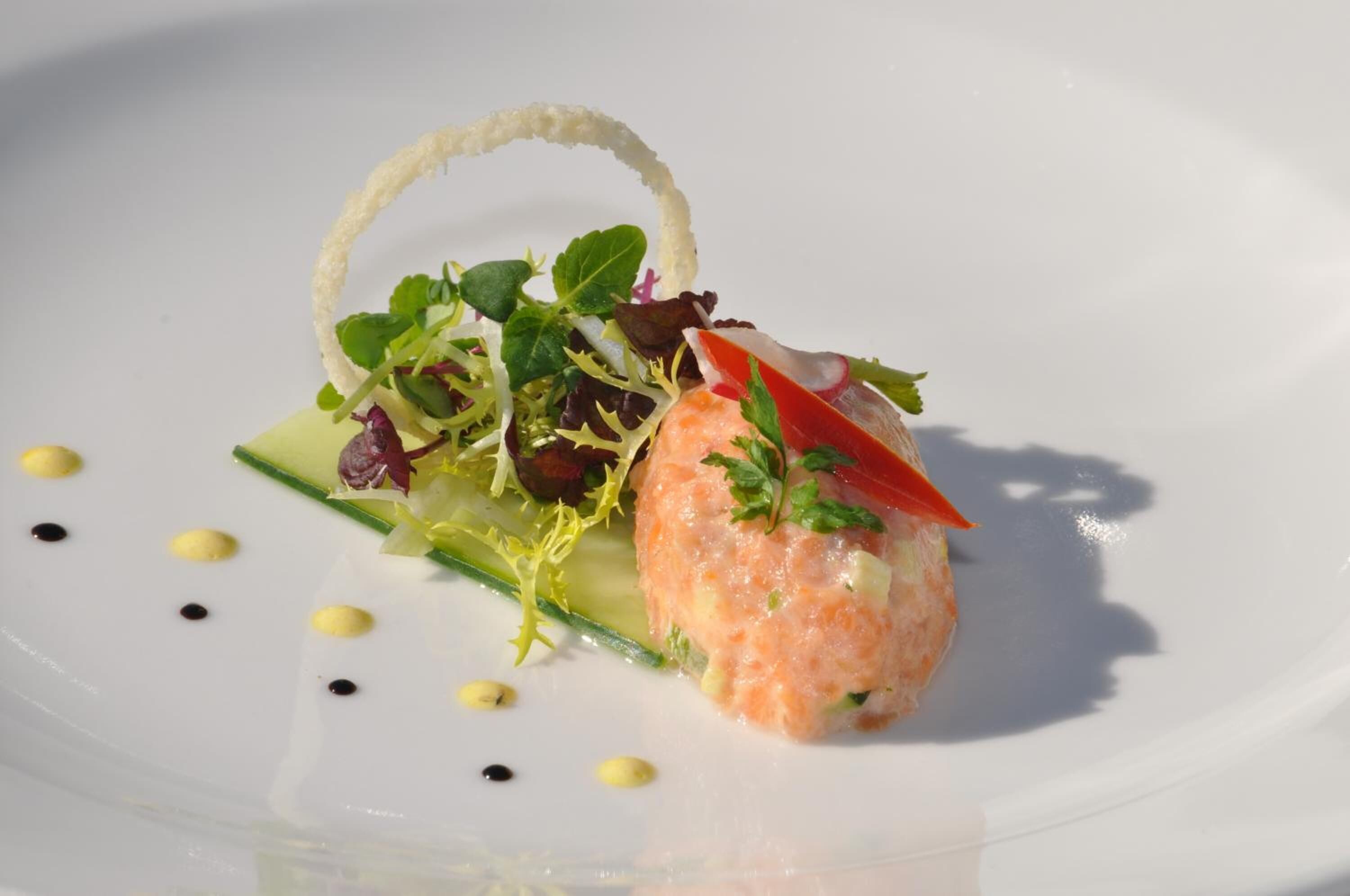 Un plato blanco con asa presenta un tartar de salmón como pieza central, decorado con hierbas y una hoja roja.
