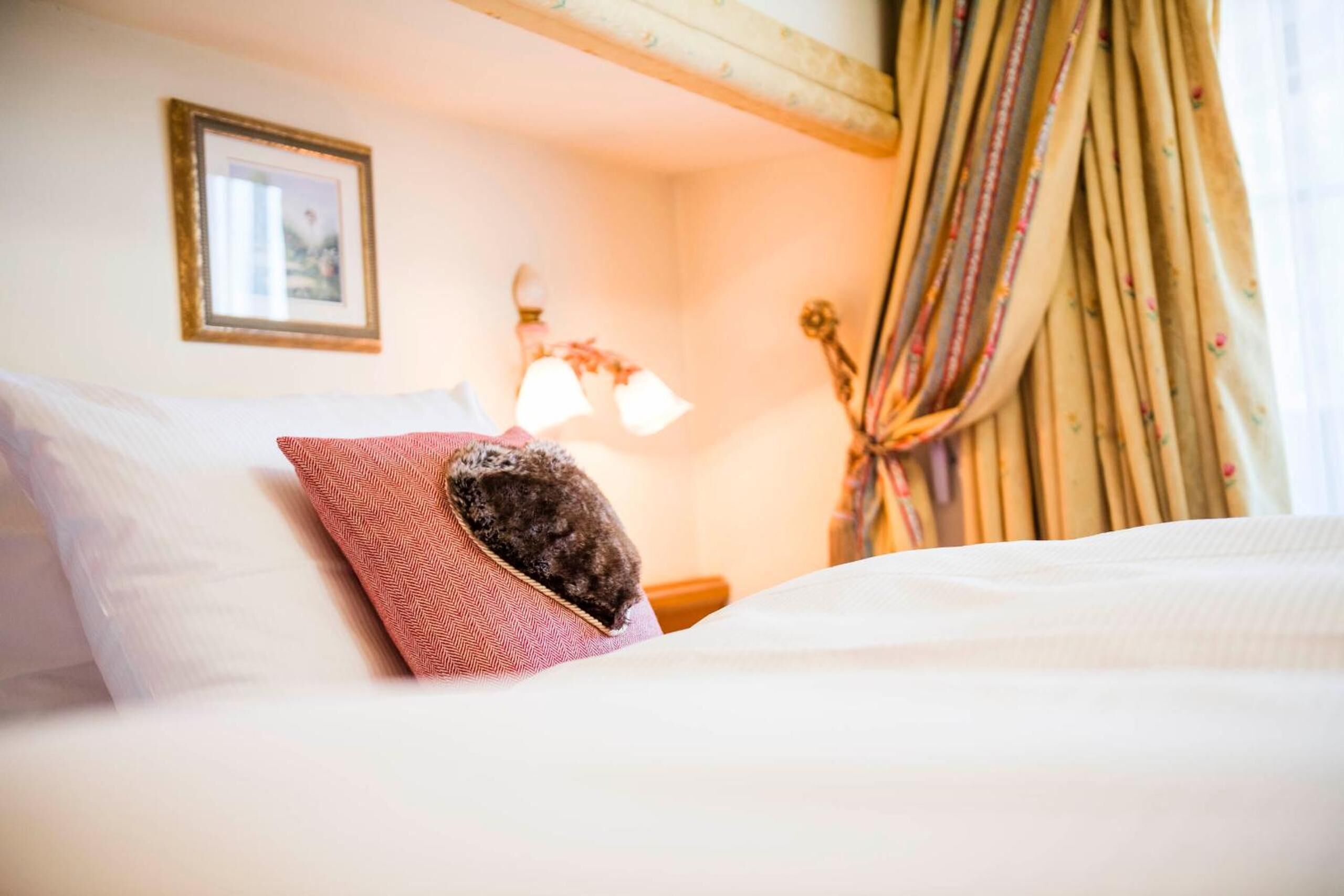 hypo-allergenic bedding, in-room safe, individually decorated