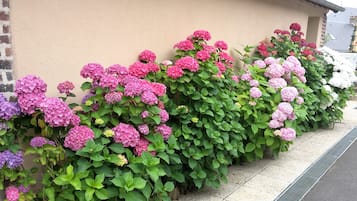 Terrasse/gårdhave