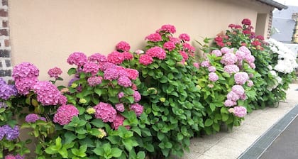 Auberge du Cheval Blanc