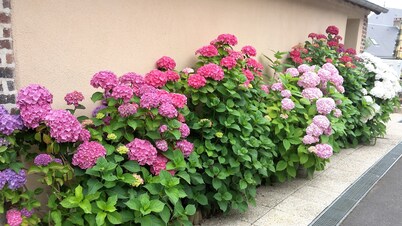 Auberge du Cheval Blanc