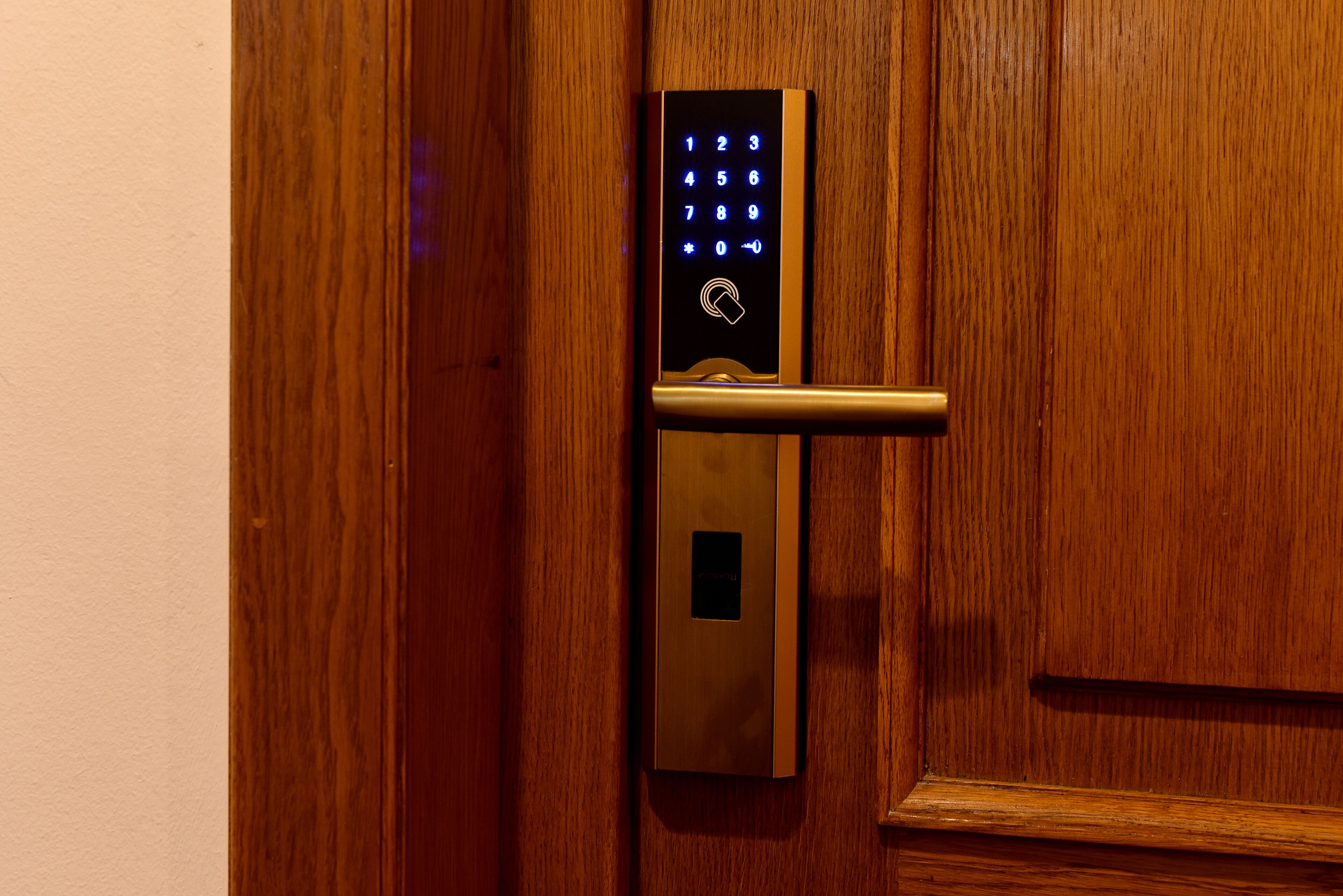 A modern door with a digital keypad lock and a metallic handle.
