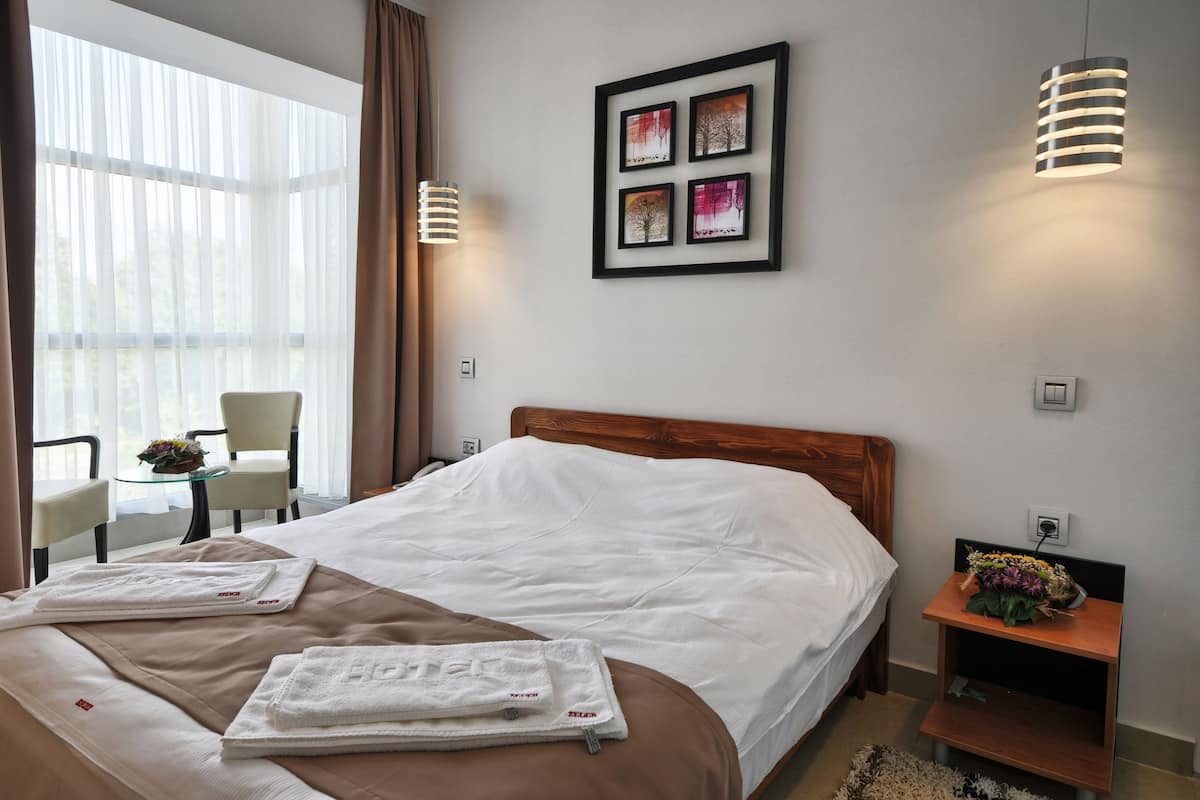 Standard Double Room | Minibar, in-room safe, desk, laptop workspace
