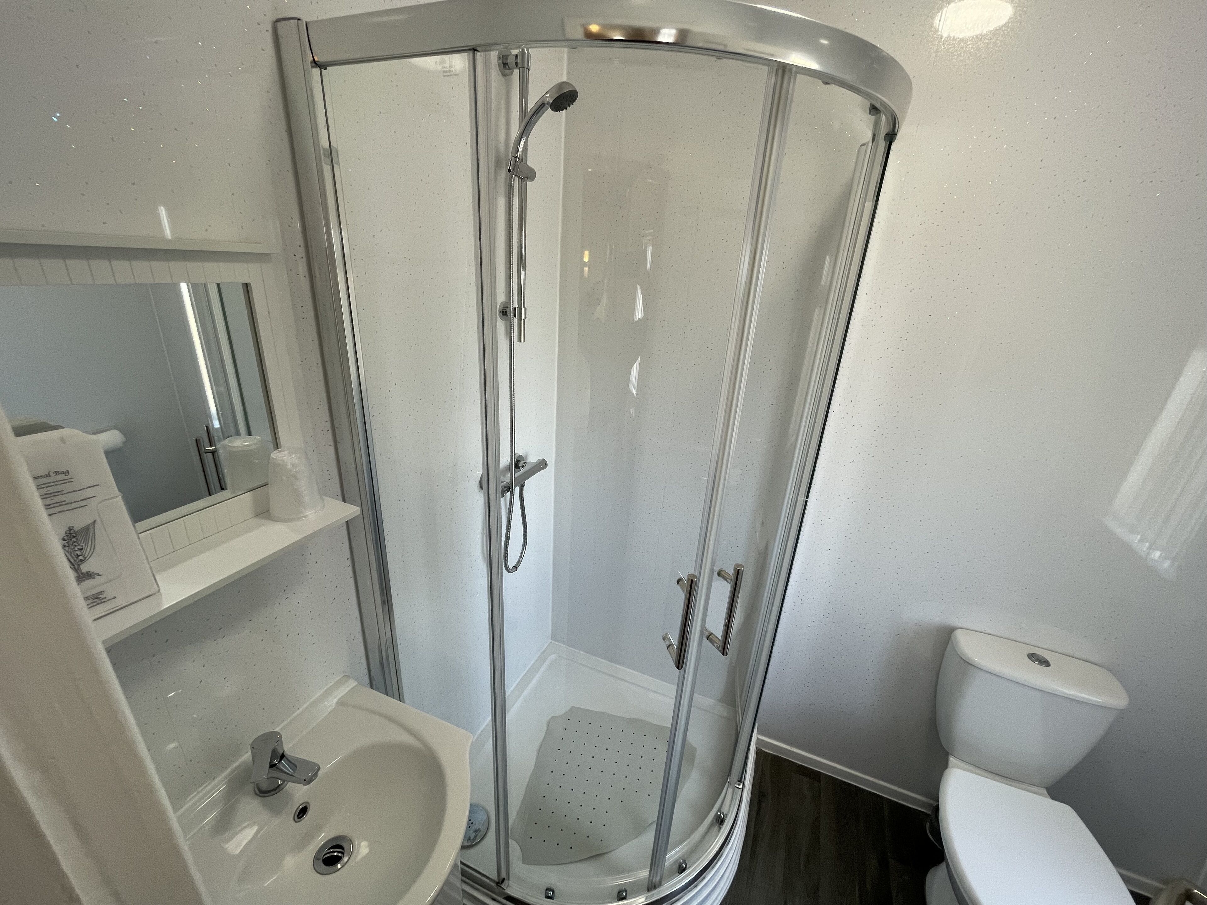 A modern bathroom with a glass-enclosed shower, a sink, and a toilet.