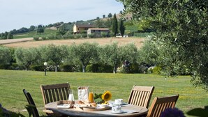 A table set outdoors with breakfast items, surrounded by chairs, in a grassy area with olive trees and a distant view of houses.
