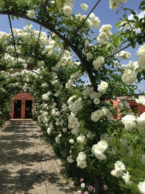 A pathway lined with white flowers and a red building in the background. - Casale Le Selvette (Perugia)