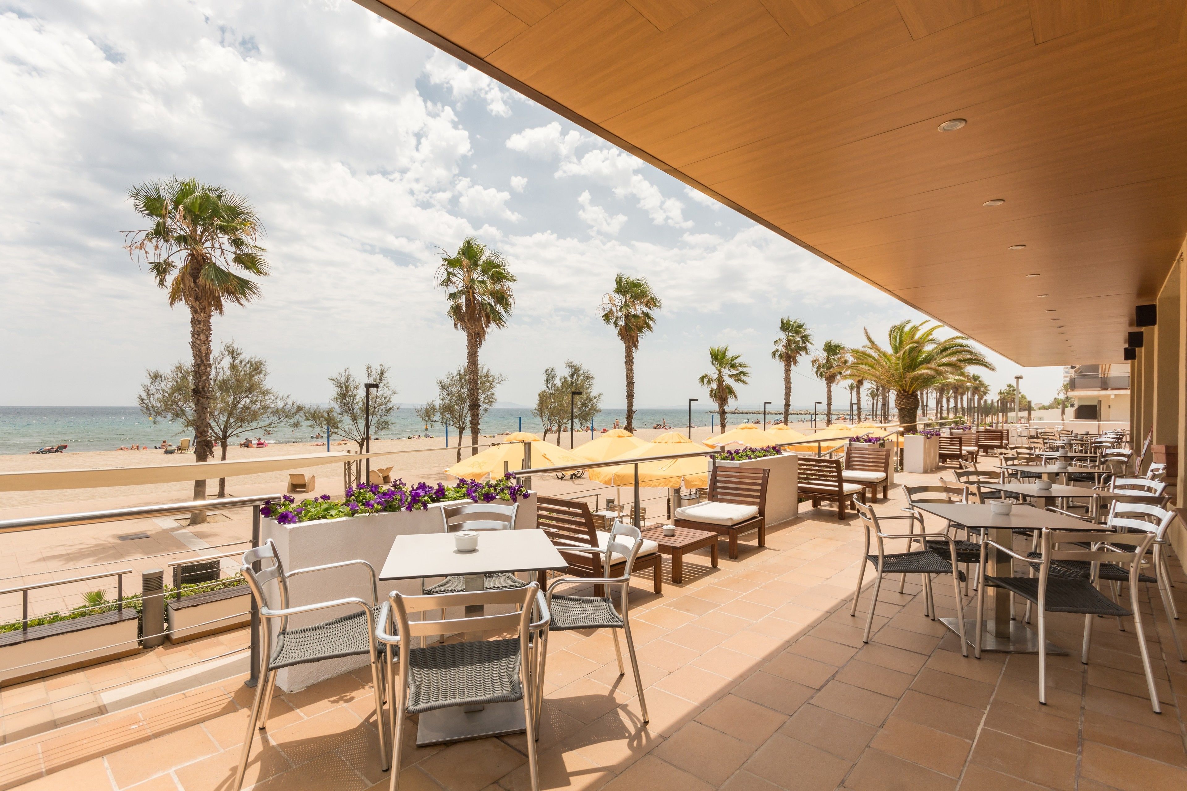 Terras