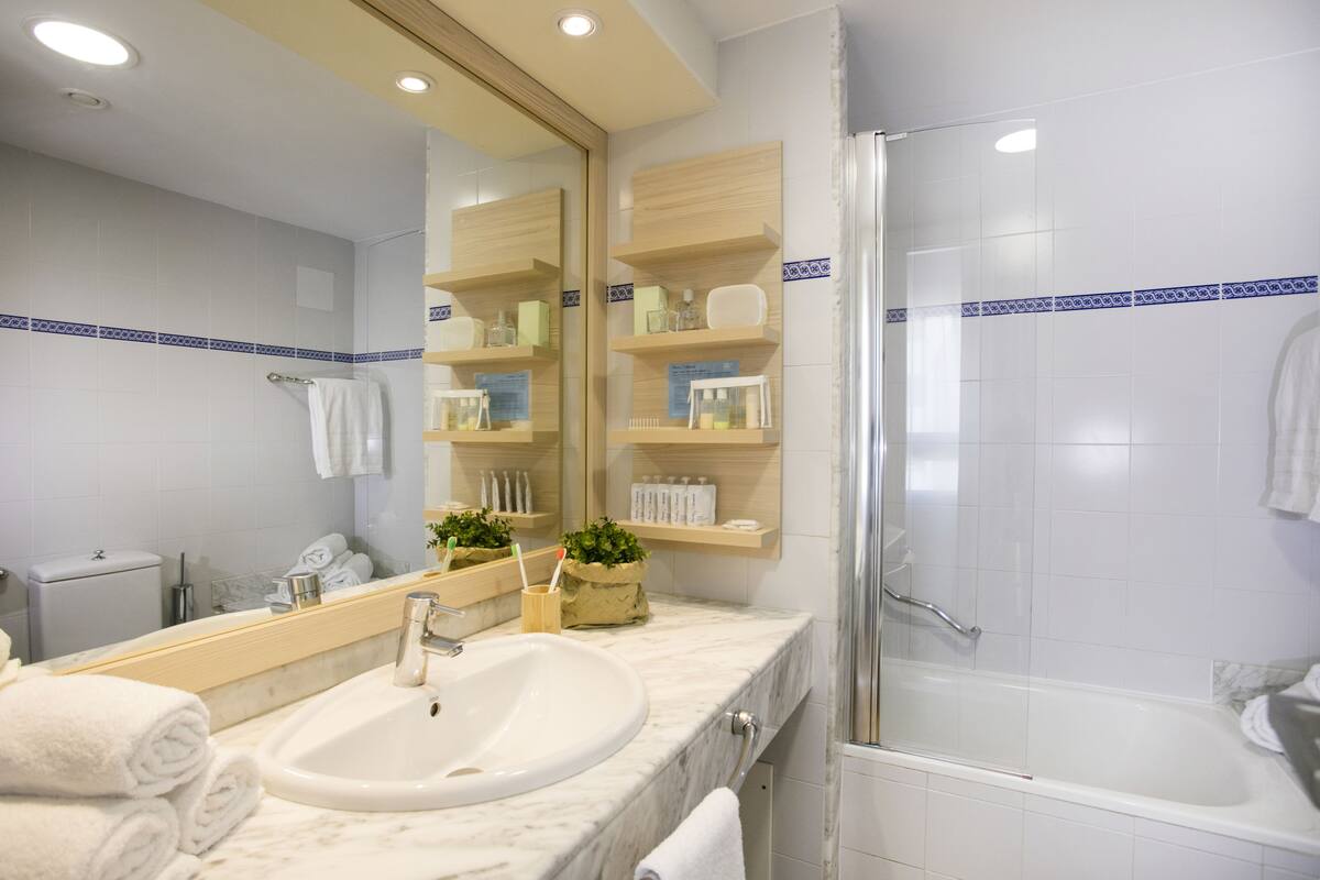 bathtub, free toiletries, hair dryer, bidet