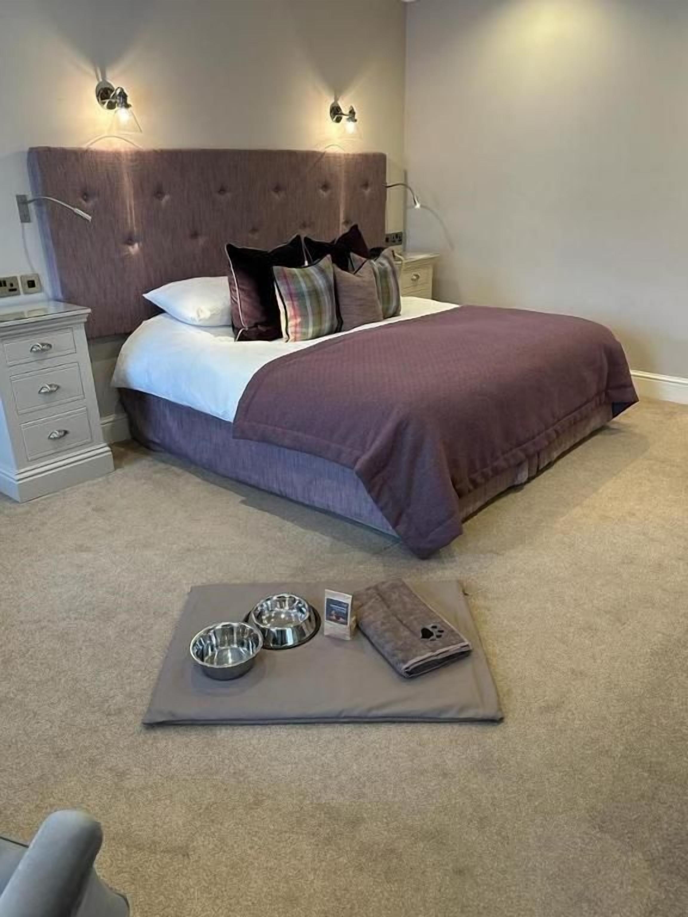A bedroom with a tufted headboard, a bed with a purple bedspread, a bedside table with a lamp, and a small rug with pet bowls.
