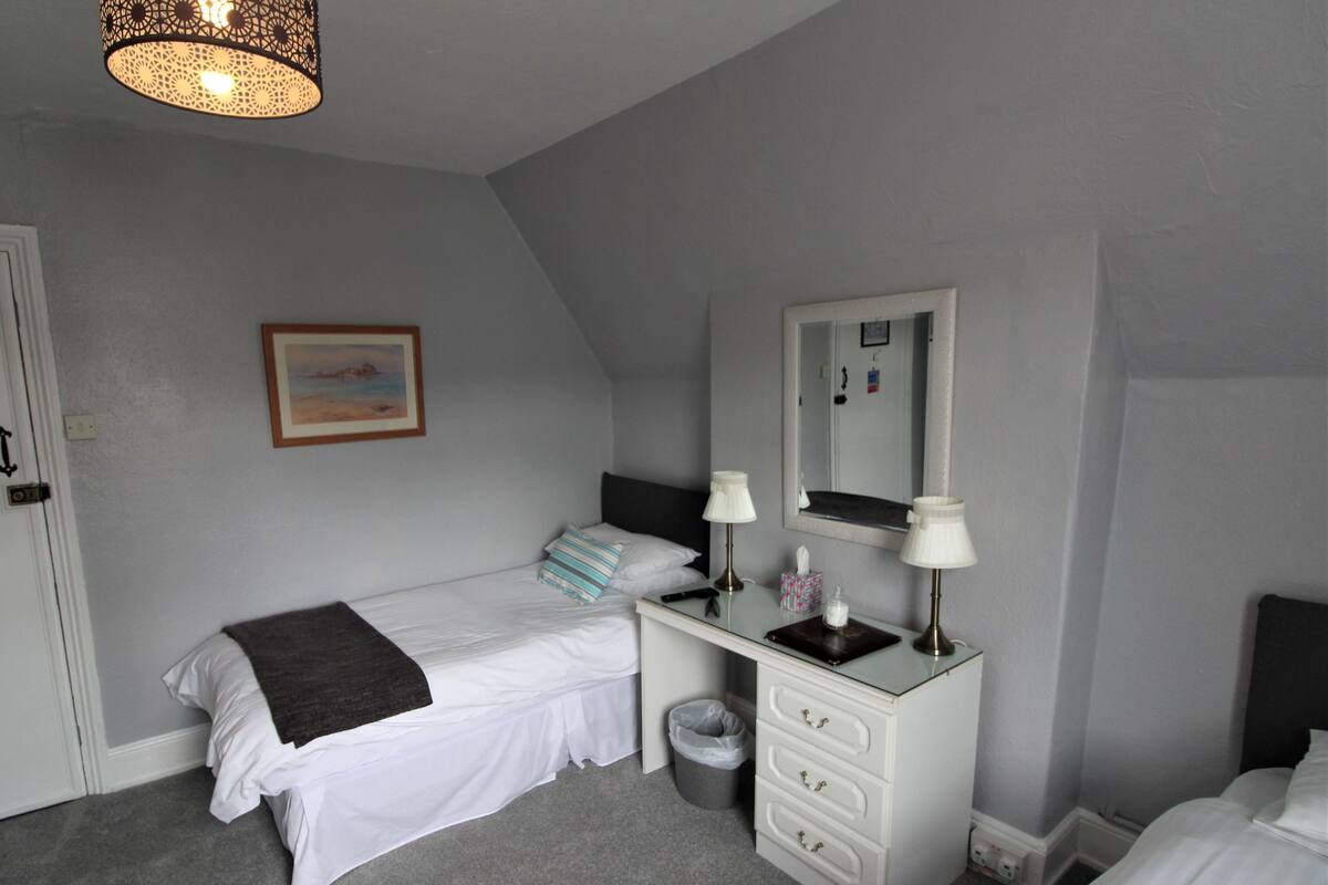 A bedroom with two beds, a dresser, a mirror, a trash can, and a painting on the wall.
