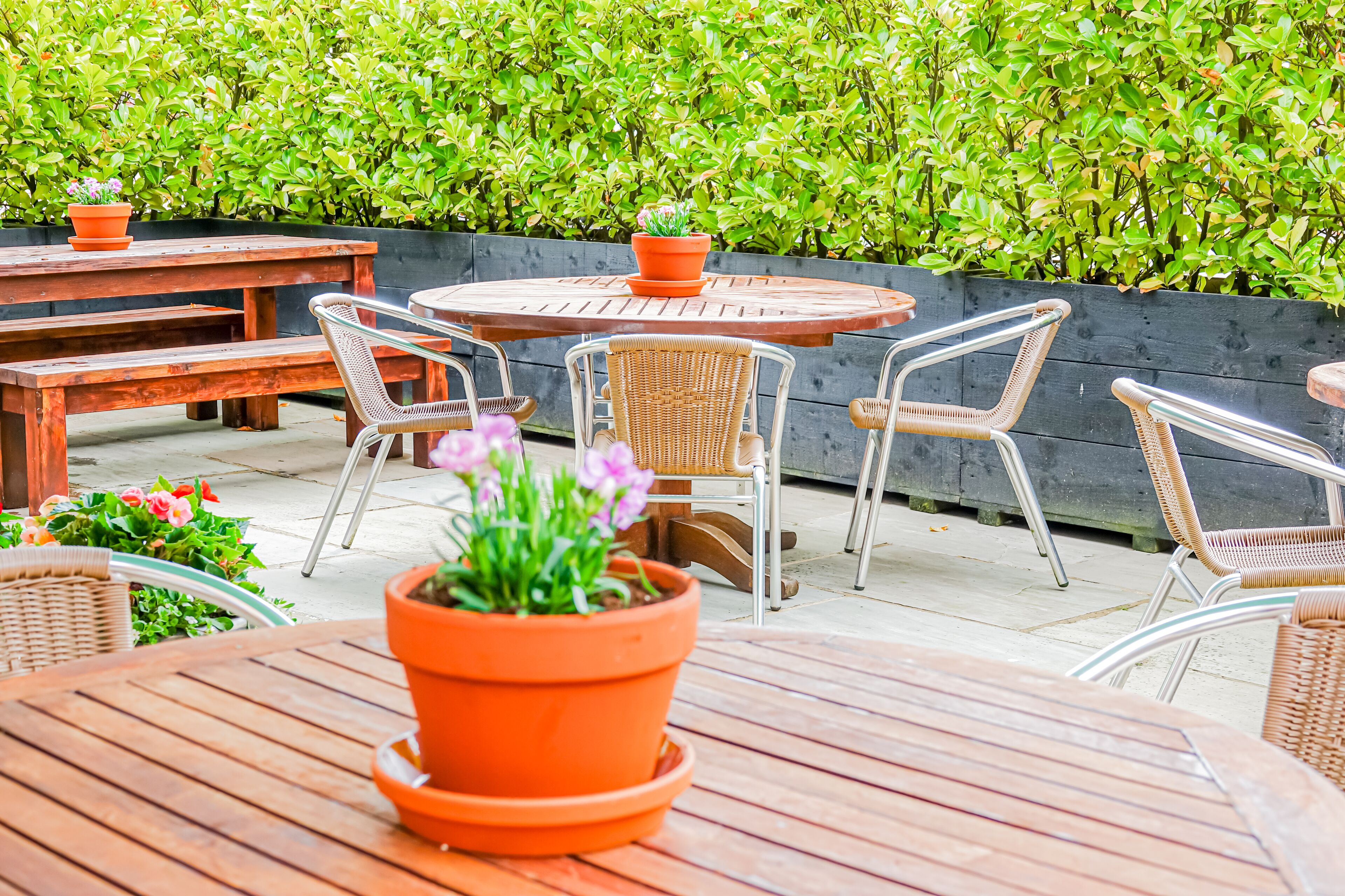 Photo - Oak Tree Inn