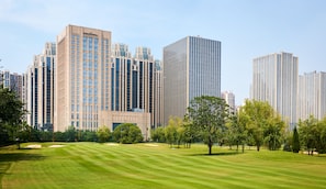A modern urban landscape with high-rise buildings and a well-maintained grassy area with trees.