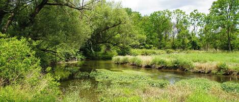 A river surrounded by lush greenery and trees.