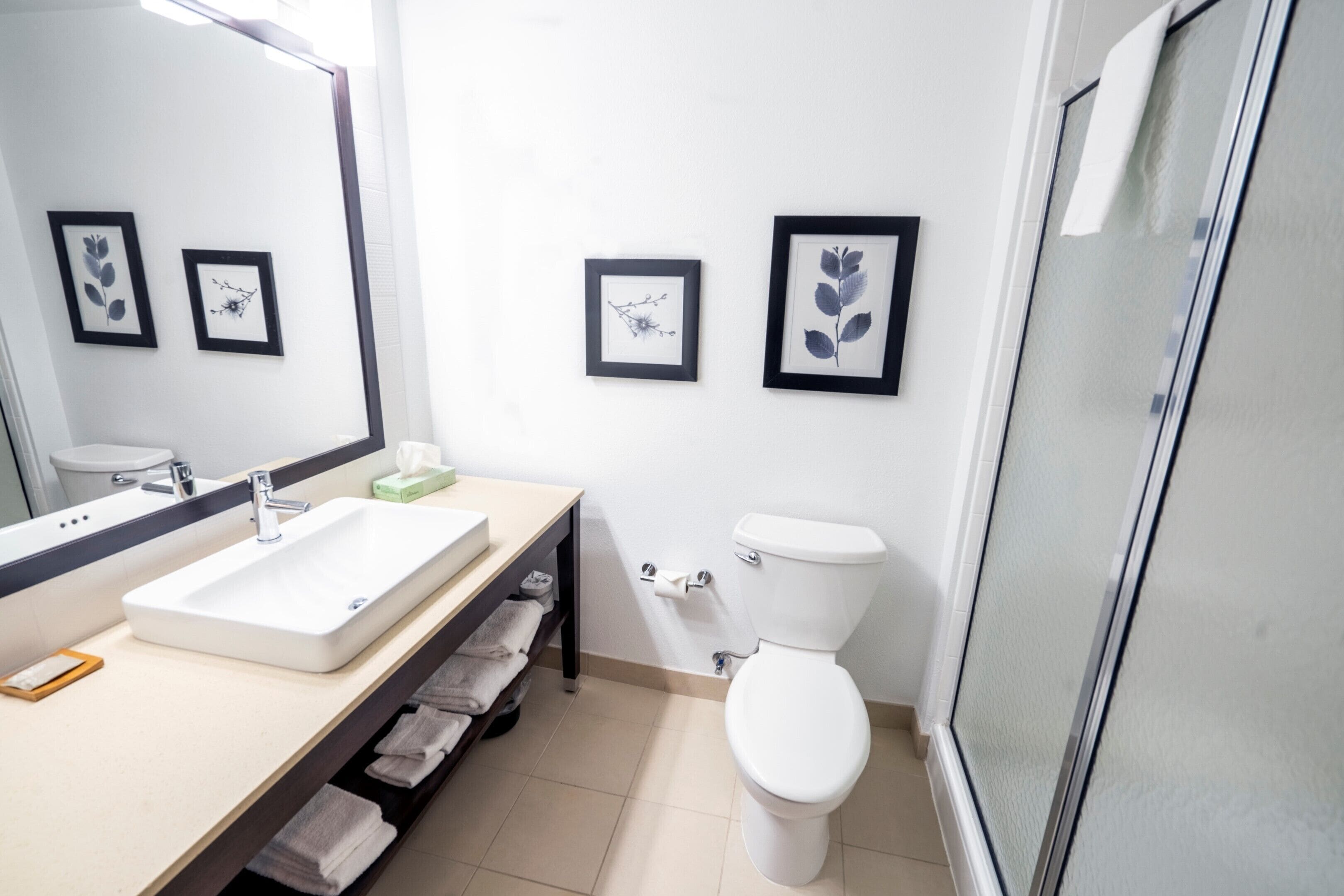 room, 1 king bed, non smoking | bathroom | combined shower/bathtub, free toiletries, hair dryer, towels