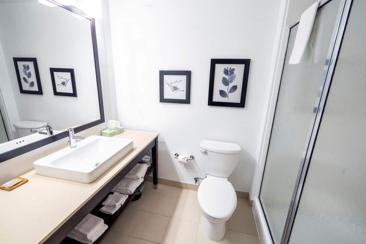 room, 1 king bed, non smoking | bathroom | combined shower/bathtub, free toiletries, hair dryer, towels