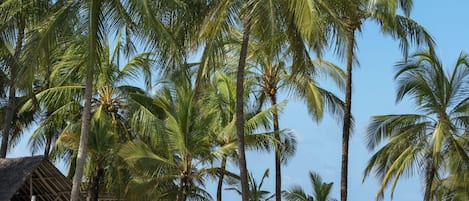 2 outdoor pools, open 6:00 AM to 6:00 PM, pool umbrellas, sun loungers