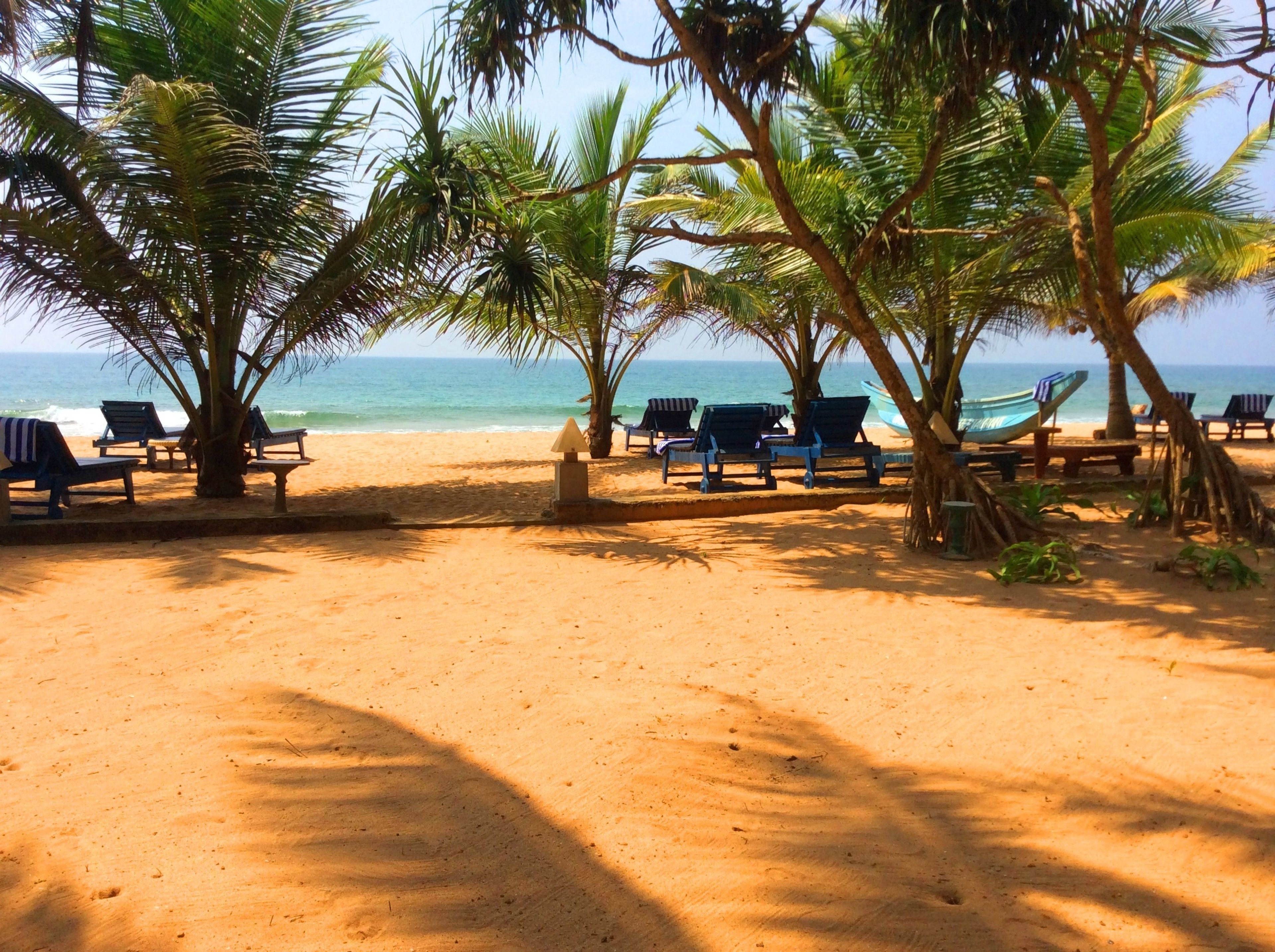 A beach with lounge chairs and a hammock under palm trees, overlooking the ocean.