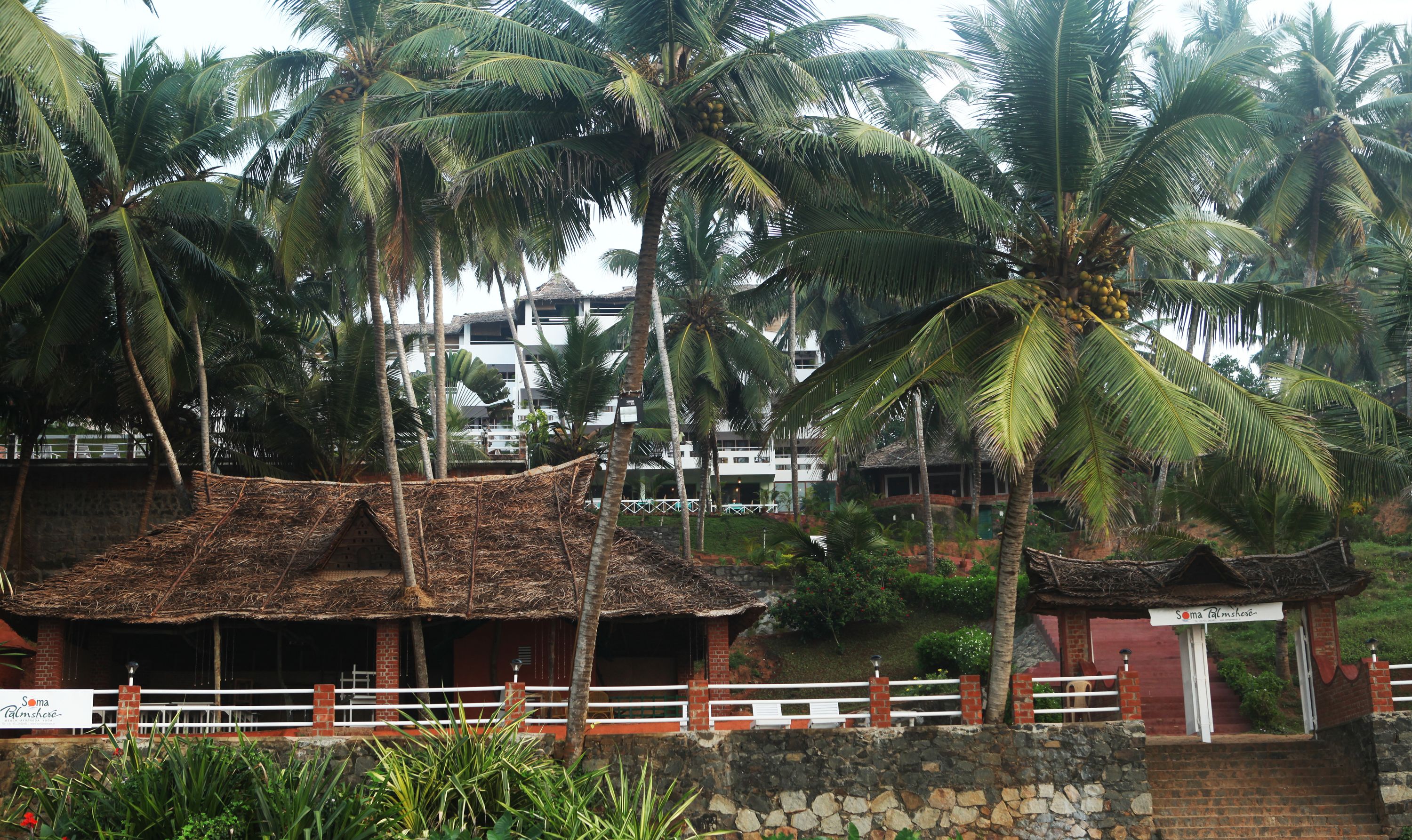 A traditional thatched-roof structure with a stone wall and a white fence, surrounded by lush greenery and palm trees.