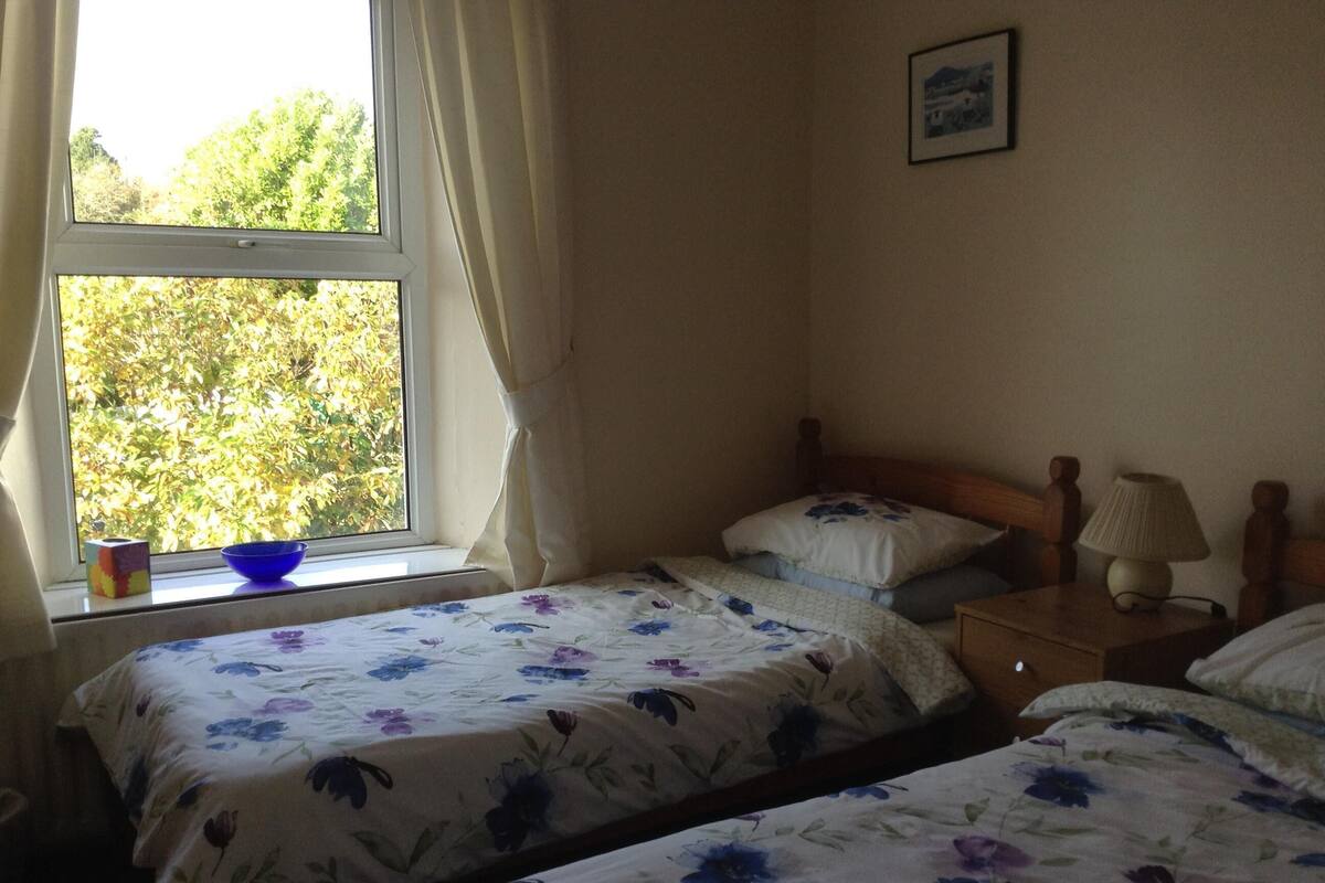 A bedroom with two beds, a window with curtains, a bedside table with a lamp, and a framed picture on the wall.