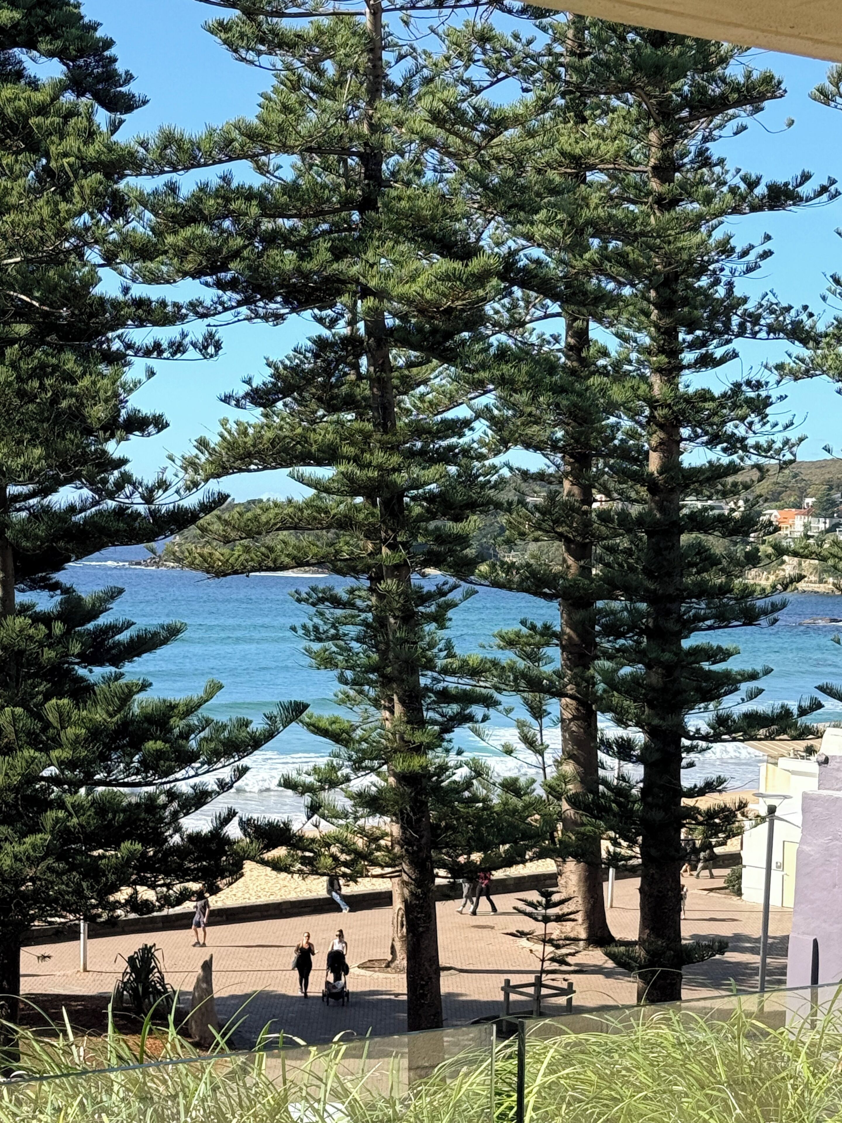 Standard Apartment, 2 Bedrooms, Ocean View | Room amenity