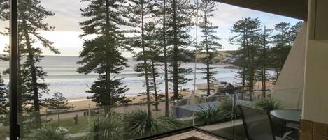 A balcony with a view of the ocean and tall trees.