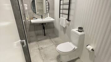 A modern bathroom with a toilet, sink, and mirror.