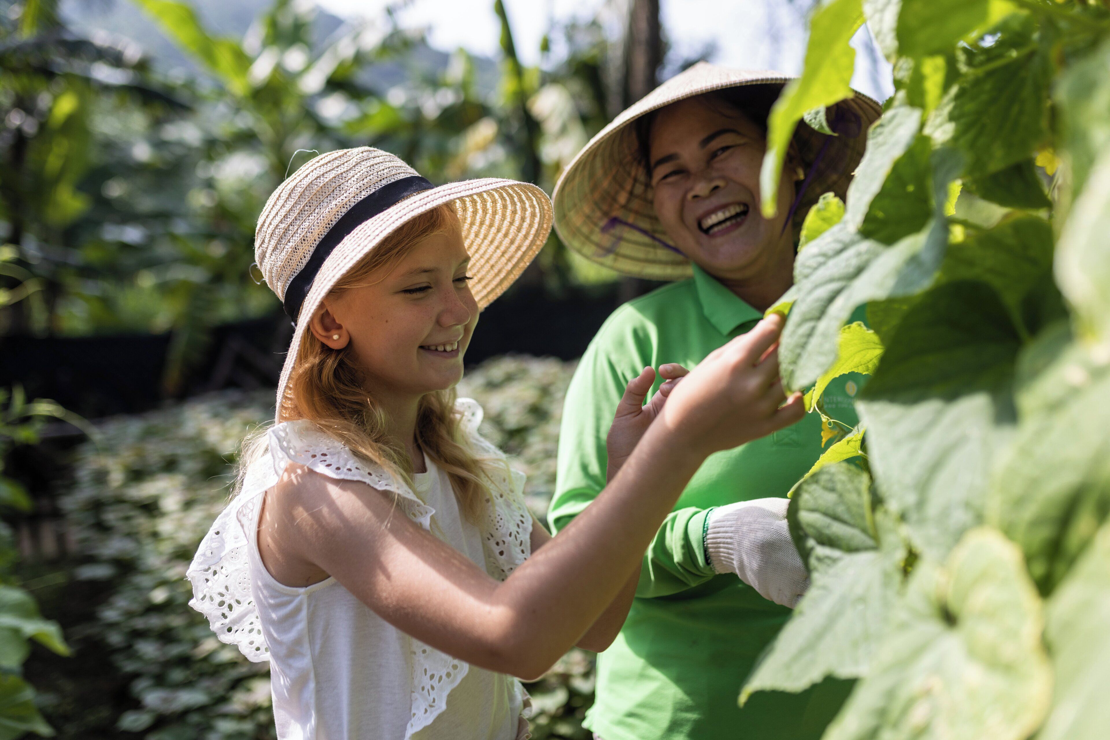 Two people in a garden, one wearing a hat and the other in a green shirt, interacting with a plant.
