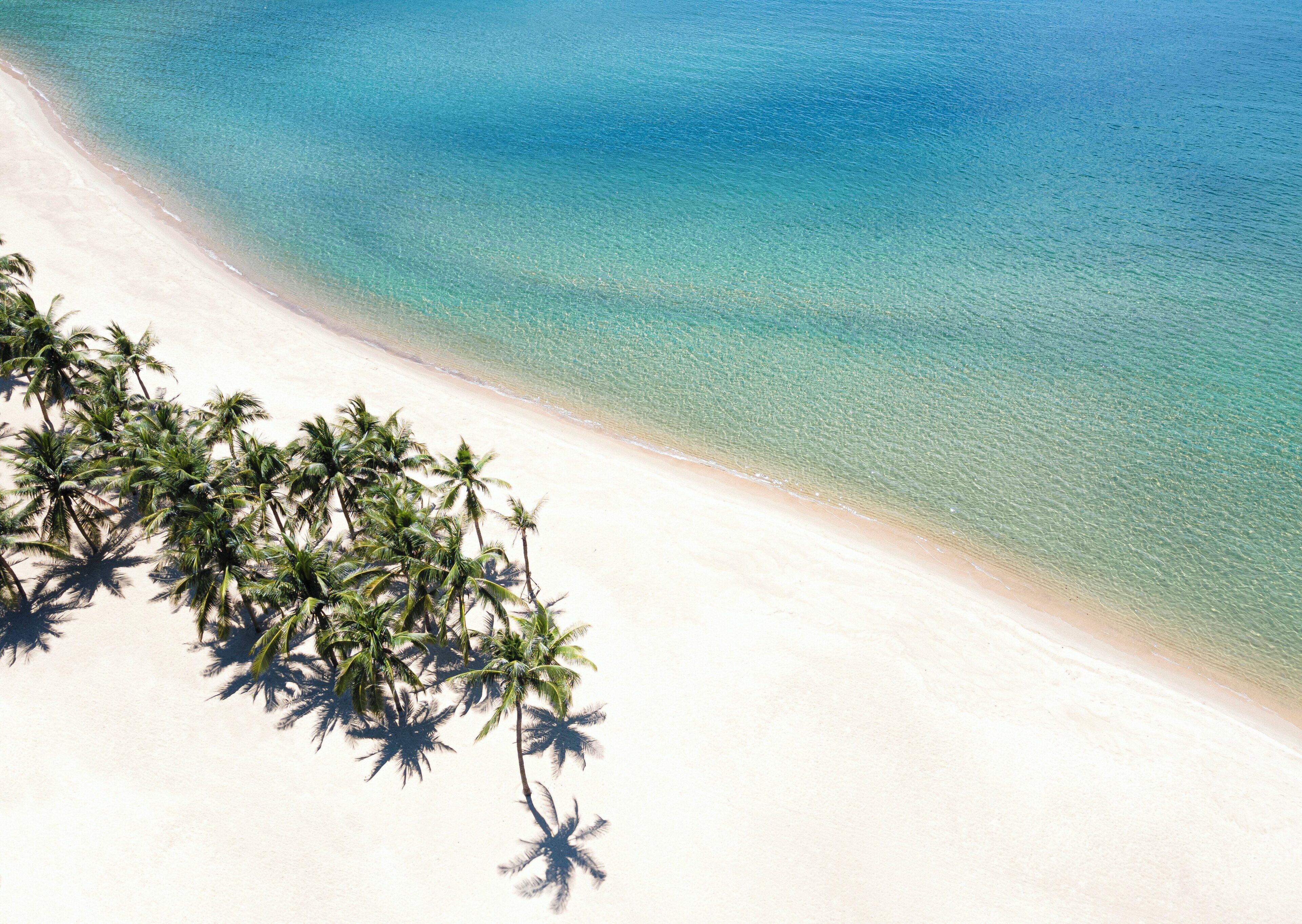A beach with clear turquoise water and white sand, lined with palm trees.