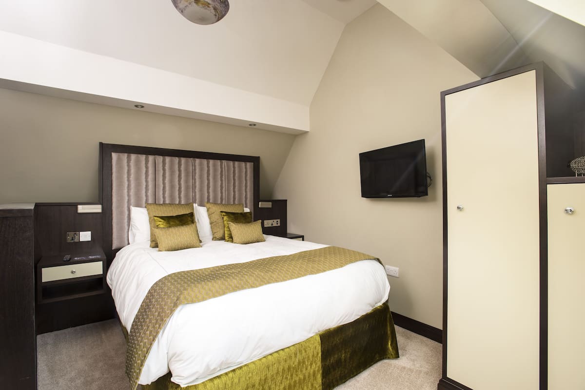 Minibar, iron/ironing board, free WiFi, bed sheets