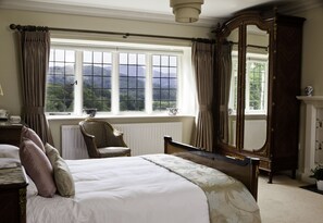 Minibar, tabla de planchar con plancha, wifi gratis y ropa de cama 