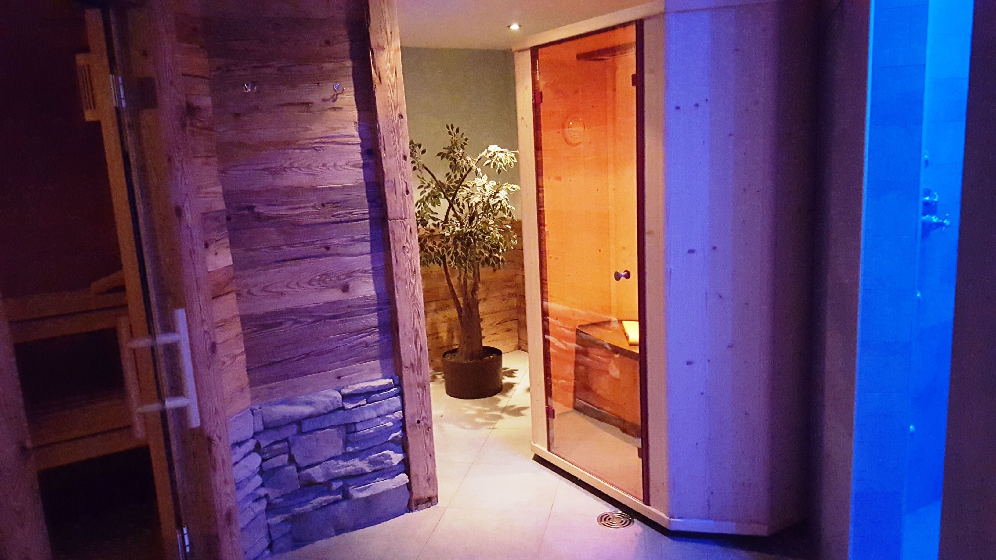 A hallway with a stone wall, a wooden door, and a potted plant.