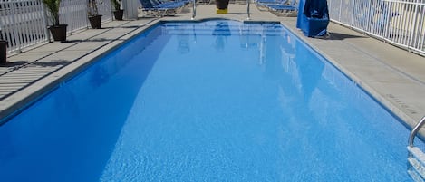 Una piscina con sillas de descanso y plantas en macetas.
